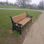 Foggy morning bench